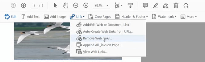 remove links adobe02