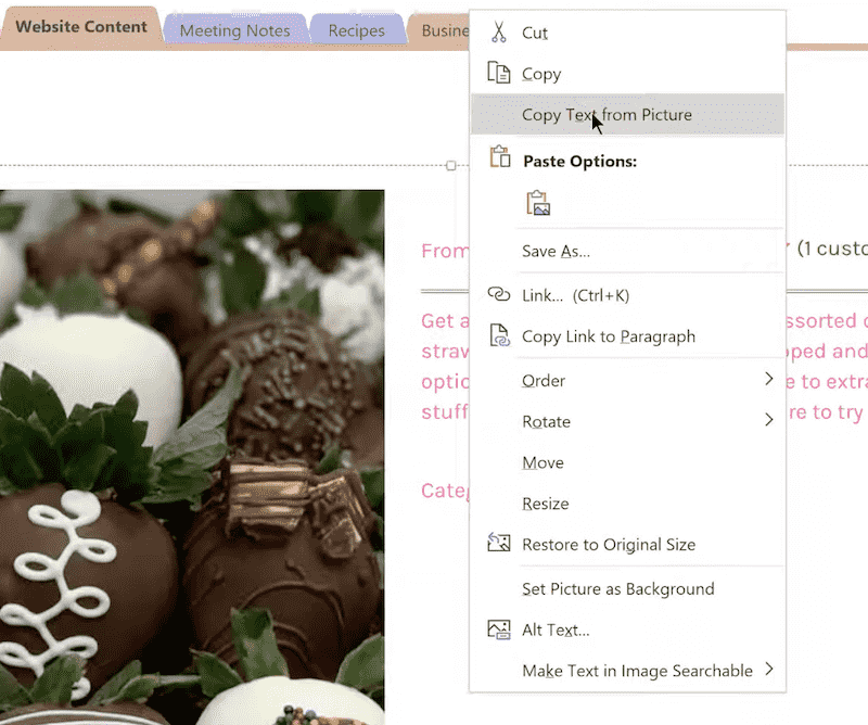 OCR PDF ONENOTE2