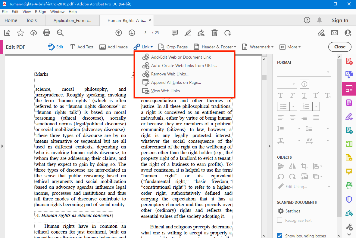 main interface pdf adobe2