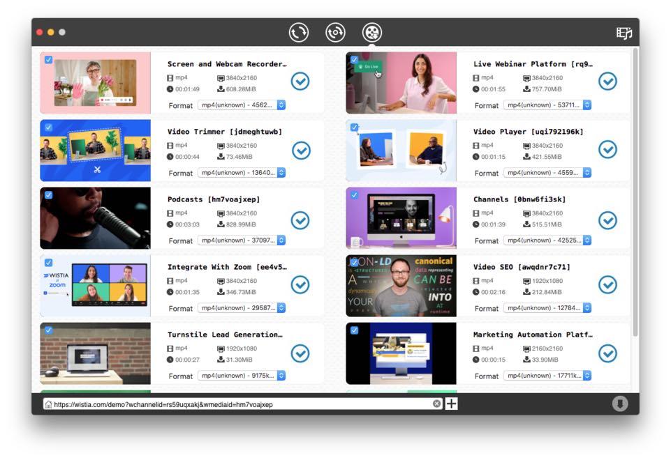 download wistia videos in batches with the dedicated tool