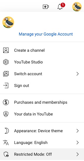 active YouTube restricted mode