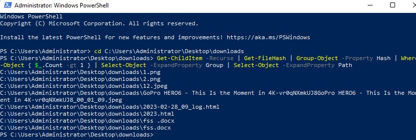 find duplicate files in folders with PowerShell