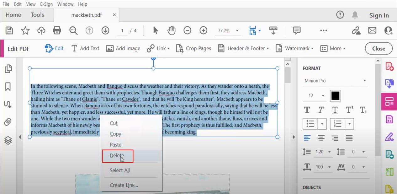 delete text in pdf adobe02