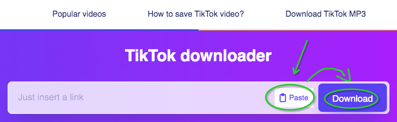 TikTok to MP3 Converter - Download TikTok Videos in MP3