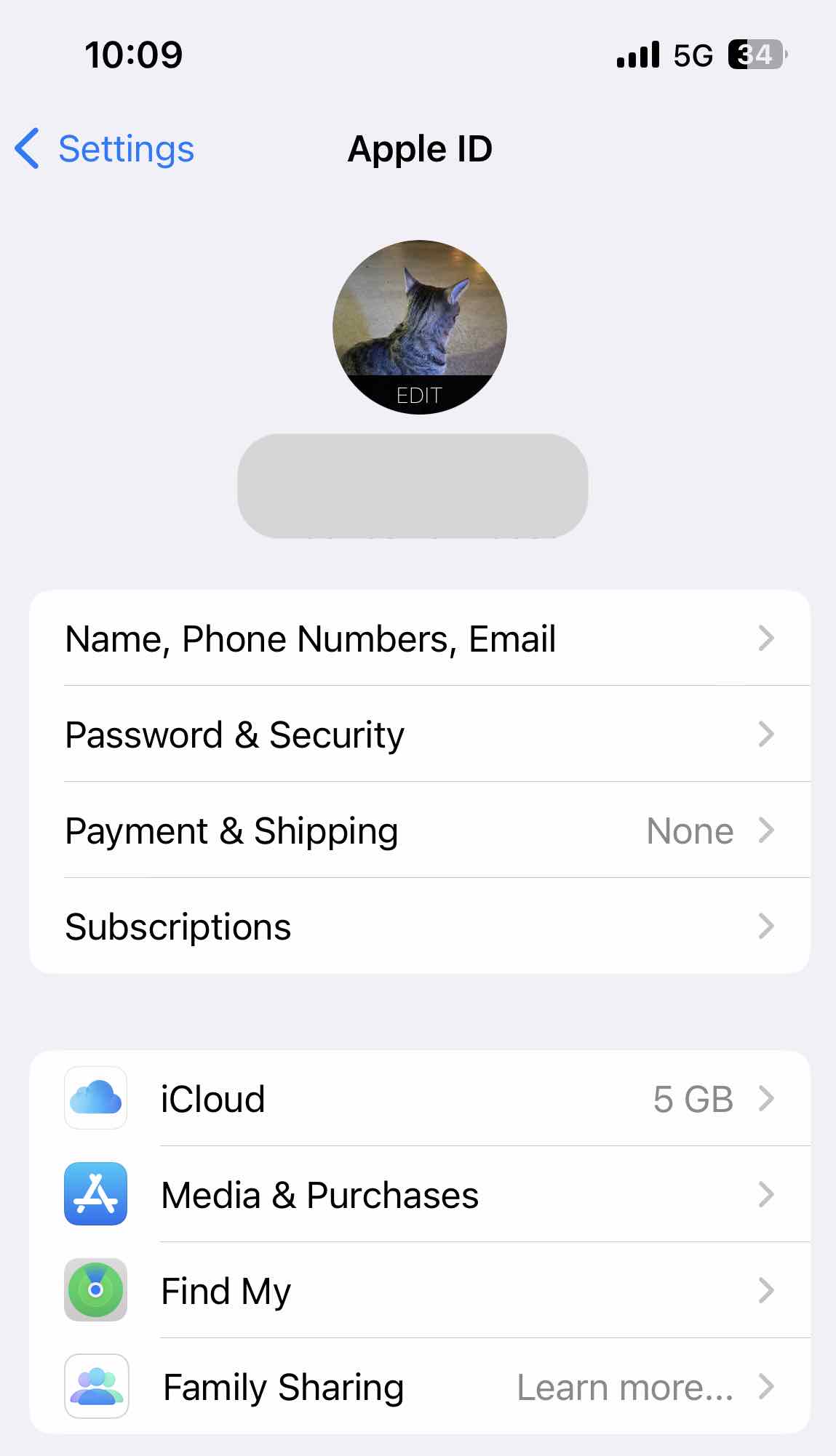 click iCloud in Settings