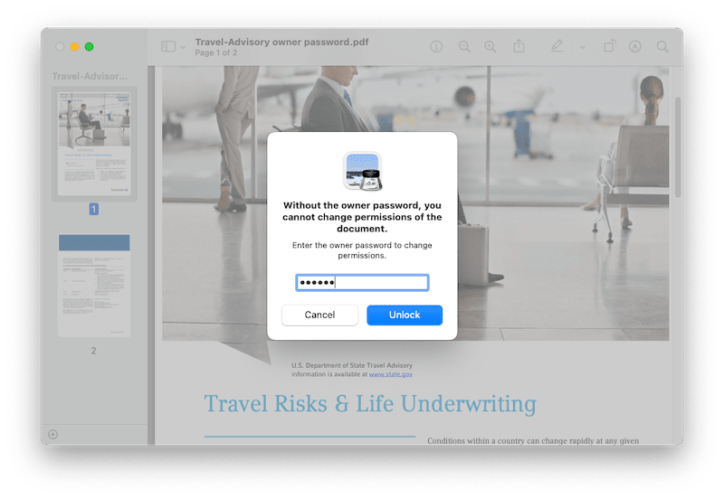 unlock pdf preview 02