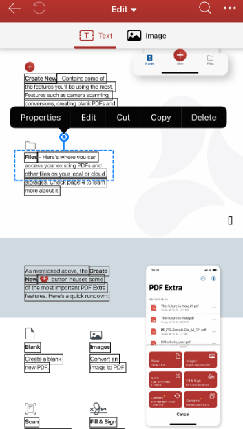 edit text pdf iphone2