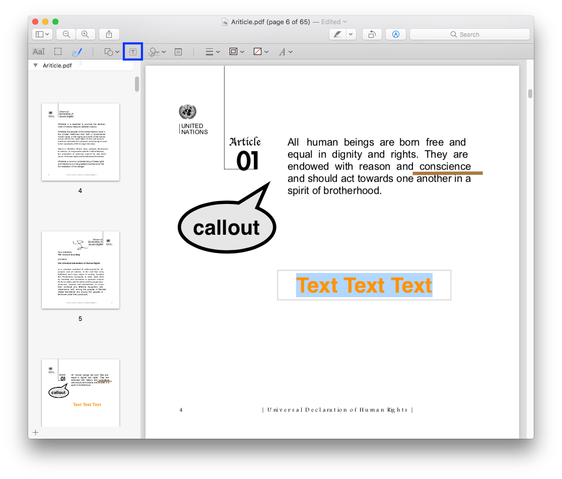 edit text pdf preview