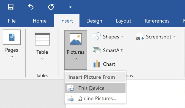 insert pdf into word image ms01