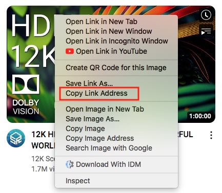 copy the url from youtube