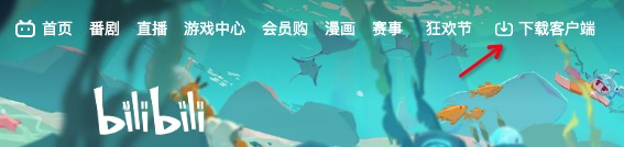 visit the official website of bilibili on mac