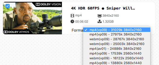 download video to webm 4k