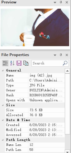 Duplicate File Detective preview window