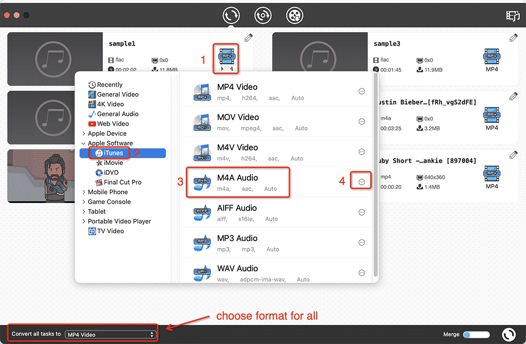 choose m4a as the output format