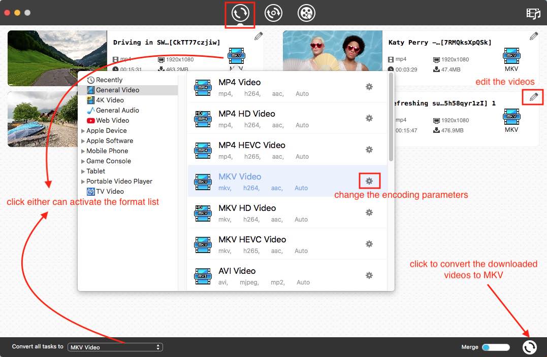 Youtube cheap to mkv