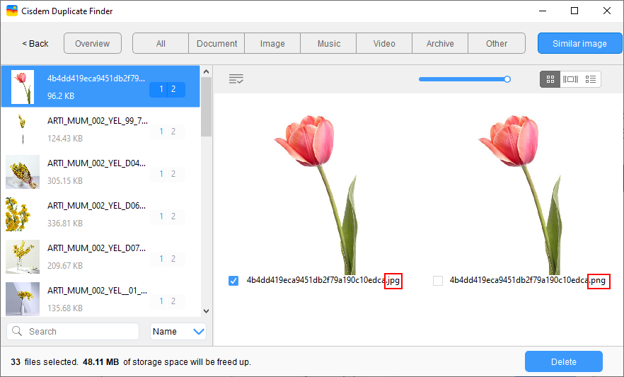 the Similar Image tab showing several sets of non-exact duplicate photos
