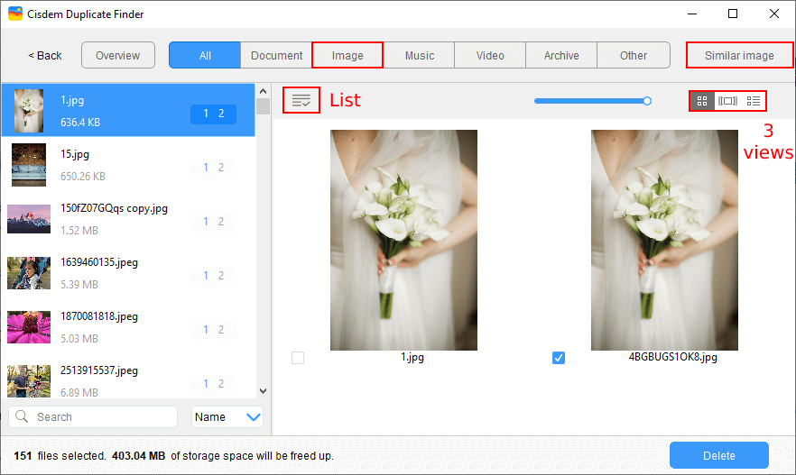 the results window showing several tabs, and the Image tab showing several sets of duplicate photos