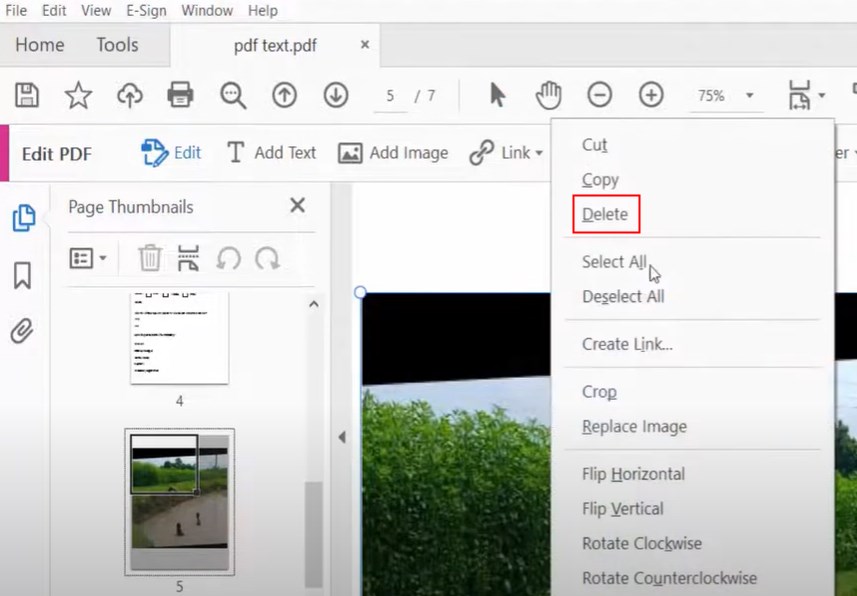 remove image from pdf adobe02