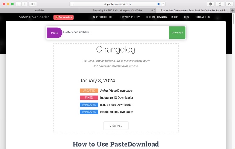 pastedownload.com interface