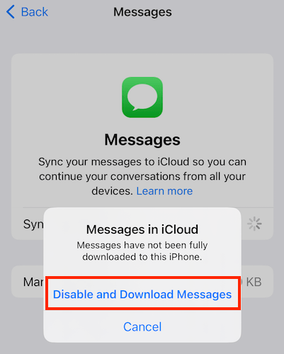 download from imessages