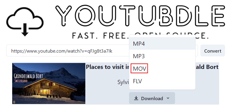 convert youtube to mov online with youtubdle