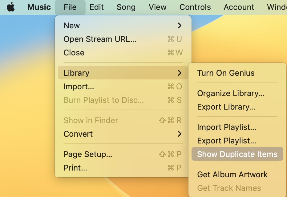 Show Duplicate iTunes