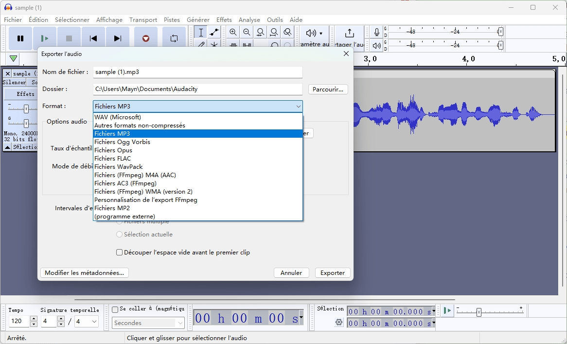 sélectionner le format mp3