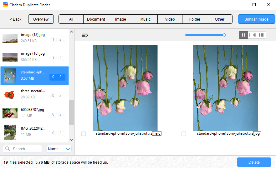 the Similar image tab in the results window showing the preview of a set of identical photos which are different in format