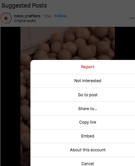 Instagram Not Interested option