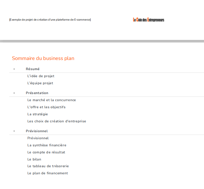exemple business plan ecommerce