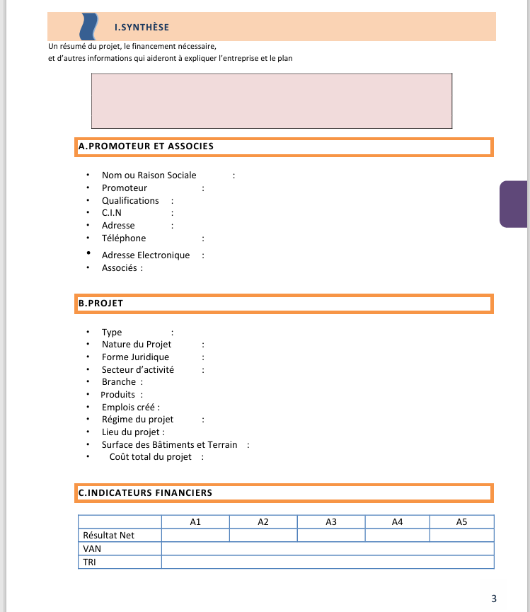 Business plan modèle vierge PDF