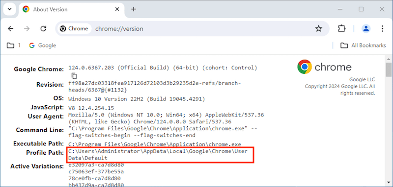 windows chrome path