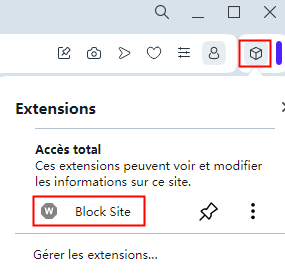 cliquez sur l'icône d'extension