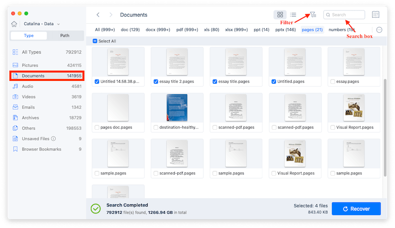 recover pages cisdem 04