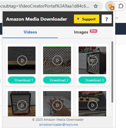 download amazon video with the extension