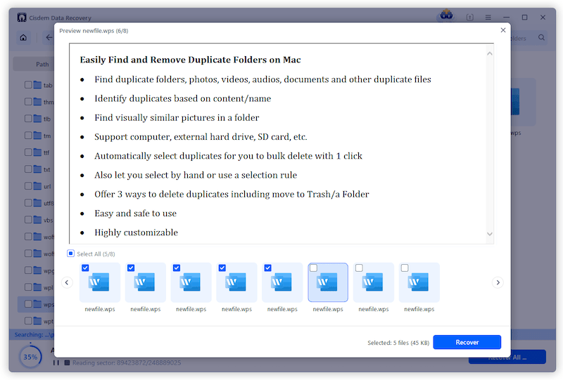 wps file recovery cisdem 04