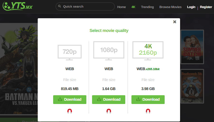 torrent website
