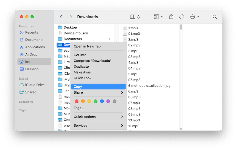 copy downloads
