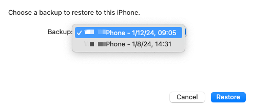 recover snaps from iphone backup 02