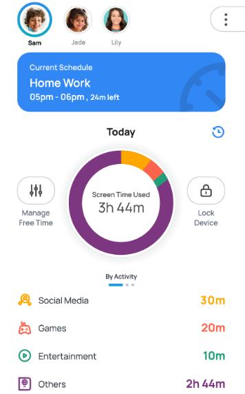 activity report