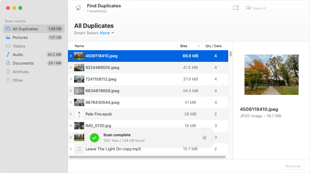 Scan results window