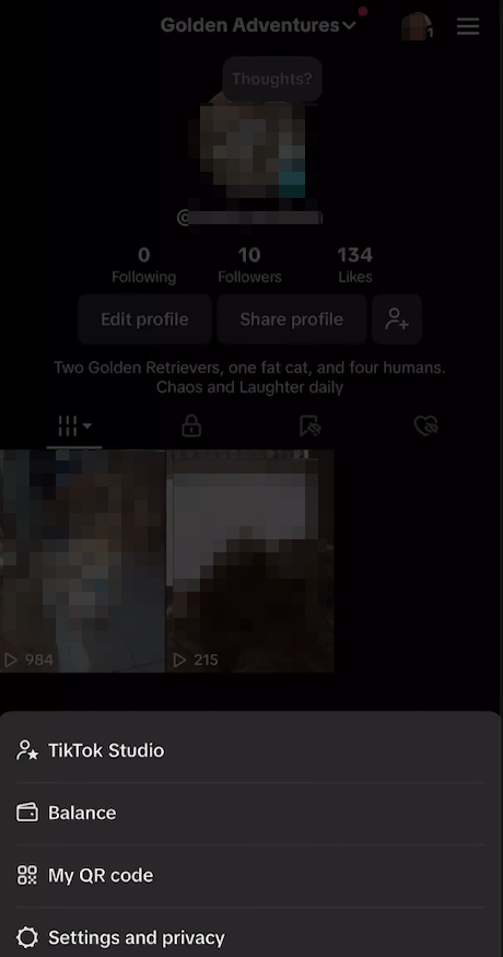 recover recently deleted tiktok 01