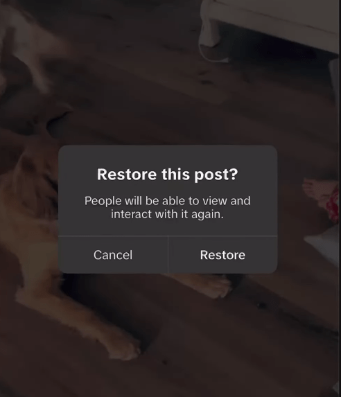 recover recently deleted tiktok 03