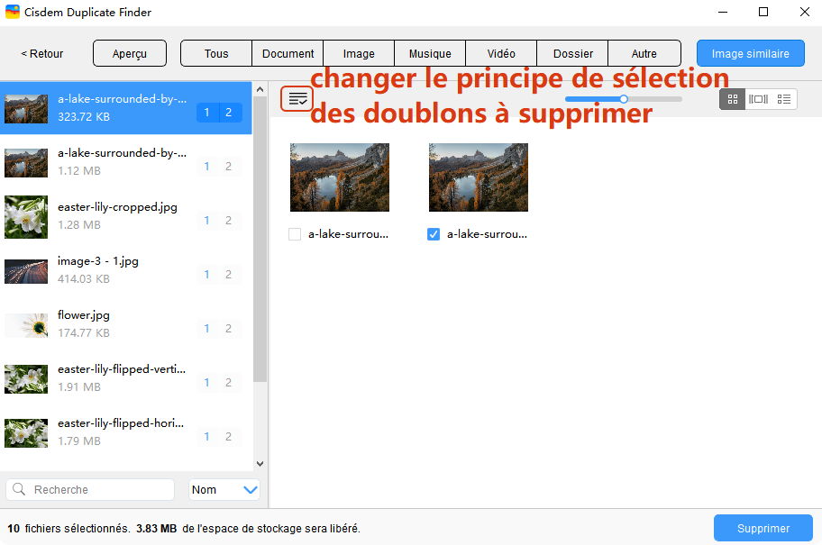 recherche image similaire cisdem duplicate finder
