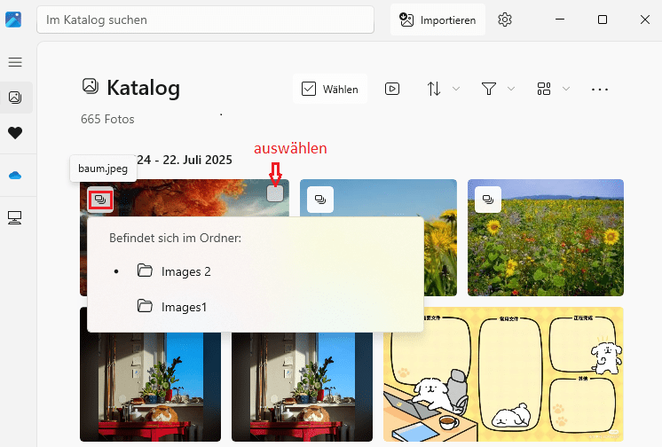 the thumbnail of a detected duplicate photo displaying a Duplicate icon in the top left corner and a checkbox in the top right corner