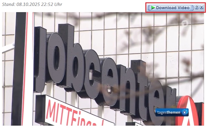 ein Button "Download Video"