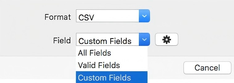 custom fields