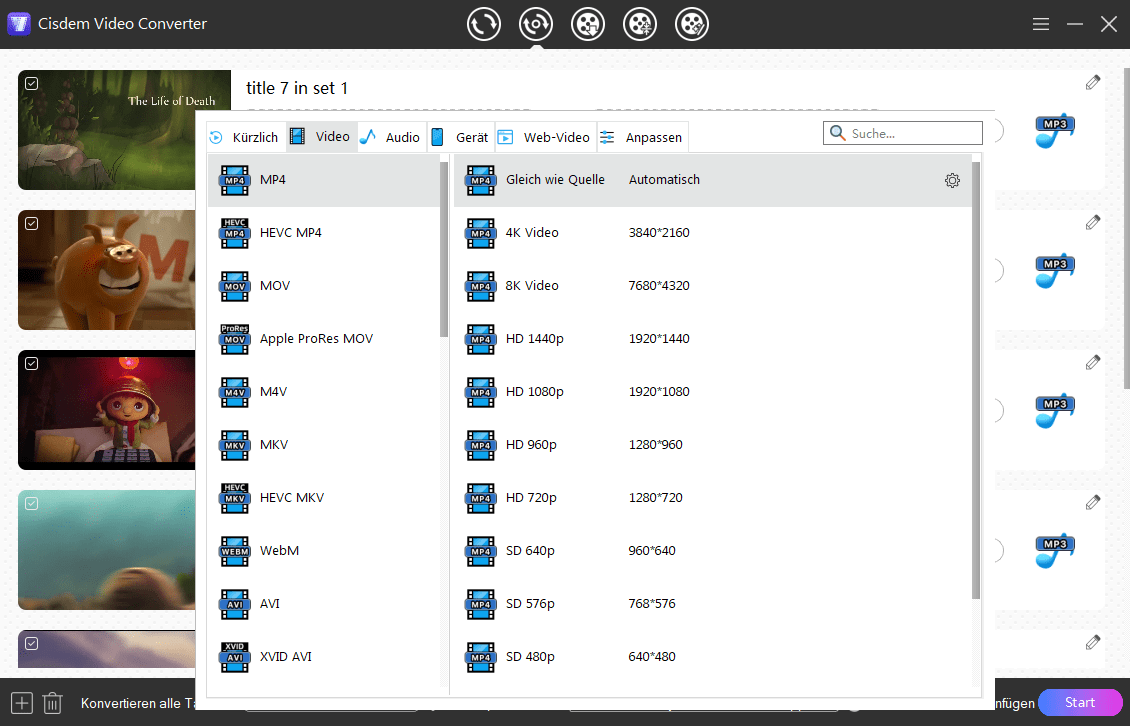 Format wählen cisdem