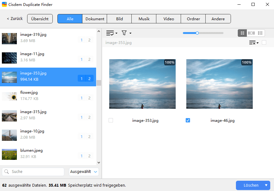 Das Ergebnisfenster zeigt doppelte Dateien an