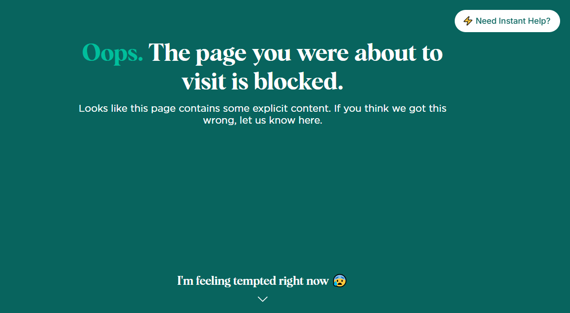 Pornowebsites gesperrt